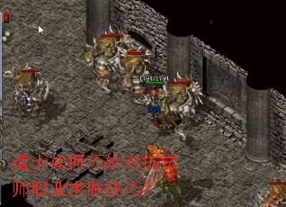道士如何巧妙对抗法师职业求胜技巧? 道士如何巧妙对抗法师职业求胜技巧?