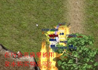 在行会商店里能用泉水购买物品吗? 在行会商店里能用泉水购买物品吗?