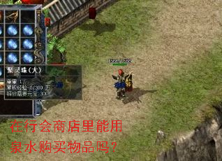 在行会商店里能用泉水购买物品吗? 在行会商店里能用泉水购买物品吗?