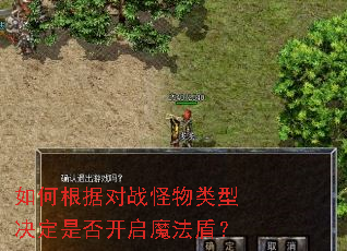 如何根据对战怪物类型决定是否开启魔法盾? 如何根据对战怪物类型决定是否开启魔法盾?