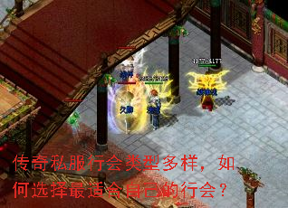 ����˽���л����Ͷ��������ѡ�����ʺ��Լ����л᣿
