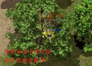 ����ϻ����ĸ���������ٶ���죿