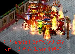 ���Ŵ����ʿ��ο���������������װ��ѡ����ȫ����