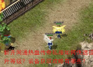 新开网通热血传奇私服如何快速提升等级?装备获取攻略有哪些? 新开网通热血传奇私服如何快速提升等级?装备获取攻略有哪些?