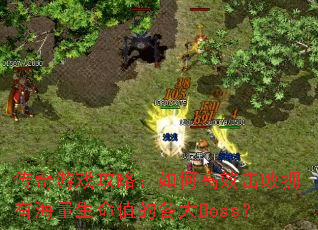������Ϸ���ԣ���θ�Ч����ӵ�к�������ֵ�ĸ���Boss��