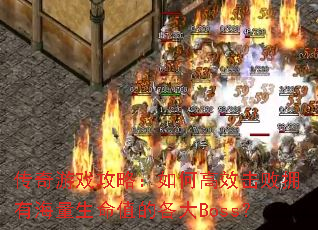 ������Ϸ���ԣ���θ�Ч����ӵ�к�������ֵ�ĸ���Boss��