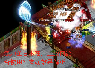 ��ʦʥ������ʬ�������ܷ�ʹ�ã�ʵսЧ������