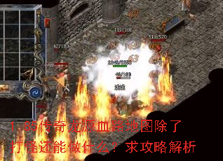 1.85������ԴѪ·��ͼ���˴�ֻ�����ʲô�����Խ���
