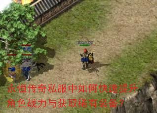 永恒传奇私服中如何快速提升角色战力与获取稀有装备? 永恒传奇私服中如何快速提升角色战力与获取稀有装备?