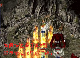 ��ο�������GOM���洫��˽����ɫ�ȼ���