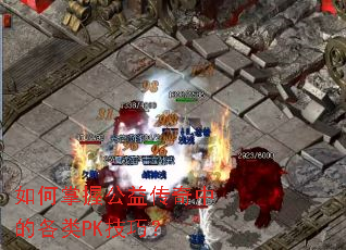 ������չ��洫���еĸ���PK���ɣ�