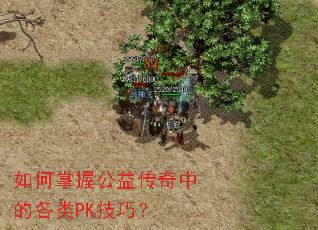 ������չ��洫���еĸ���PK���ɣ�