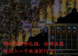 想玩好传奇私服,如何选择并加入一个合适的行会? 想玩好传奇私服,如何选择并加入一个合适的行会?