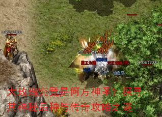 大玫瑰究竟是何方神圣?探寻其神秘品种与传奇攻略之谜 大玫瑰究竟是何方神圣?探寻其神秘品种与传奇攻略之谜