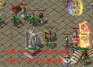 ����ڶ�����ɱ�п�������ս�������ֱؿ�����