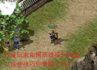 ��������θ�Ч�������棬��Щ��������������