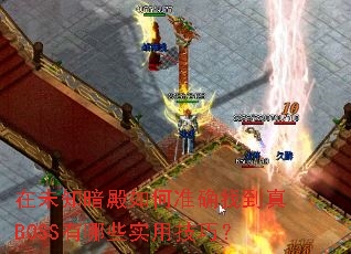 ��δ֪�������׼ȷ�ҵ���BOSS����Щʵ�ü��ɣ�