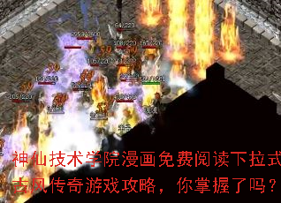 ���ɼ���ѧԺ��������Ķ�����ʽ�ŷ紫����Ϸ���ԣ�����������