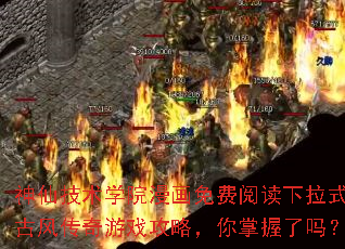 ���ɼ���ѧԺ��������Ķ�����ʽ�ŷ紫����Ϸ���ԣ�����������