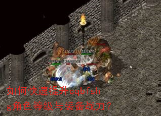如何快速提升cqbfshg角色等级与装备战力? 如何快速提升cqbfshg角色等级与装备战力?