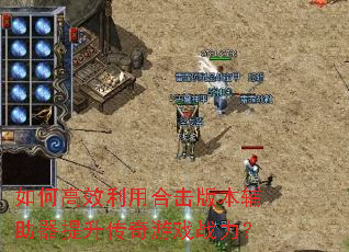 ��θ�Ч���úϻ��汾����������������Ϸս����