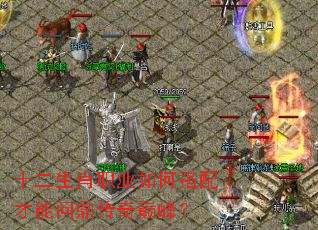 ʮ����Фְҵ��δ�������ʶ������۷壿