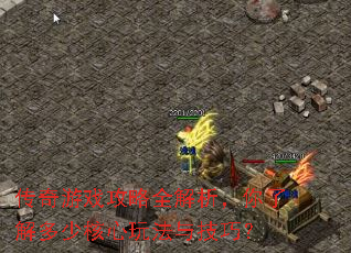 ������Ϸ����ȫ���������˽���ٺ����淨�뼼�ɣ�