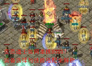 ��̬��ʿ��ε���BOSS��װ��ѡ���뼼�ܴ���ȫ����