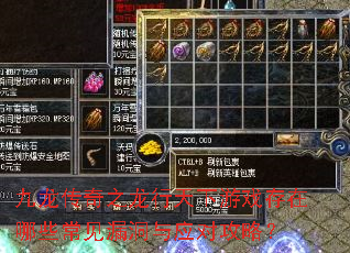 ��������֮����������Ϸ������Щ����©����Ӧ�Թ��ԣ�