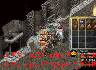 ��ѩ���ŵ�ְҵ������ο�������ս����װ����ȡ�뼼�ܴ���ȫ����