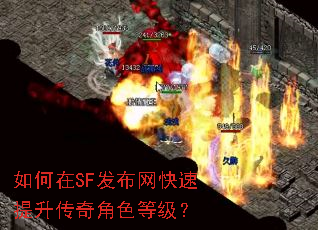 �����SF�������������������ɫ�ȼ���