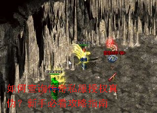 ��β�ѯ����˽����Ȩ��α�����ֱؿ�����ָ��