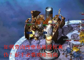 ��β�ѯ����˽����Ȩ��α�����ֱؿ�����ָ��