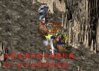 ��β�ѯ����˽����Ȩ��α�����ֱؿ�����ָ��