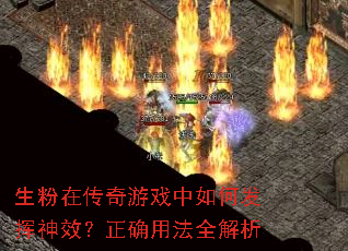 �����ڴ�����Ϸ����η�����Ч����ȷ�÷�ȫ����