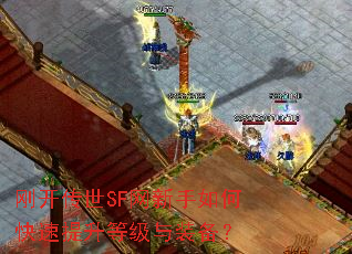 刚开传世SF网新手如何快速提升等级与装备? 刚开传世SF网新手如何快速提升等级与装备?