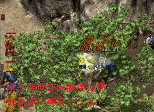 刚开传世SF网新手如何快速提升等级与装备? 刚开传世SF网新手如何快速提升等级与装备?